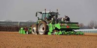 Belgian growers still had to plant 50 percent potatoes