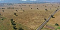 Tender awarded for next step in development of Arcadia Estate