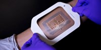 Global PPG Biosensors Market Set for Robust Growth, Projected to Reach USD 1.9 Billion by 2033 –