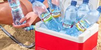 Crystal Geyser Joins the Surging Flavored Sparkling Category -