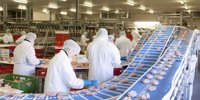 Plukon increases sales in 2024 to EUR 3.35 billion-EU markets are booming
