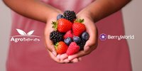 Agroberries acquires BerryWorld Group and adds more than 3,000 hectares