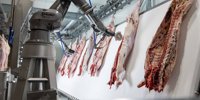 Kilcoy launches AI meat processing technology