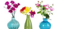 Parent company Dekbed Discounter takes over e-bloom - RetailTrends