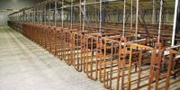 'Newly built sow barn can be 25 percent cheaper' | Pigbusiness.nl - News for pig farmers
