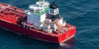 Destination Sunny Liger still uncertain - wel.nl