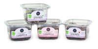 Nassau Candy unveils additions to Nancy Adams tub line | Snack Food & Wholesale Bakery
