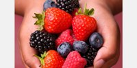 Agroberries and BerryWorld Group combine to create second largest berry company in the world