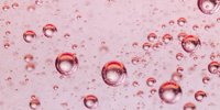 Holista team up with Fruit Hub to develop healthy bubble tea