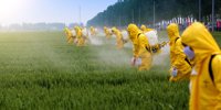 U.S. taxpayer dollars fuel covert operation to silence pesticide critics