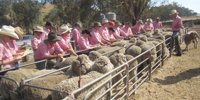 Elders profit surges as farming sector fires - InDaily