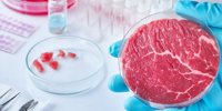 Nutreco opens production line for breeding meat | Meat magazine