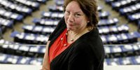 PvdA wants investigation into possible cartel public transport companies