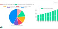Plant Hormones Market 2025-2033 Analysis: Trends, Competitor Dynamics, and Growth Opportunities