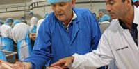 Junee Lamb expansion to create new jobs for Riverina