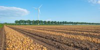 Mountains of knowledge, barns full of solutions - Netherlands Foodland