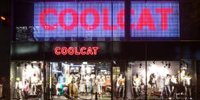 CoolCat bankrupt