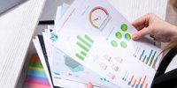 Indoor Plants Market Share, Scope and 2032 Estimation Review - News Radikal