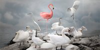 Selective Incivility: Undermining diversity and inclusion in supply chains - Supply Chain Management Review