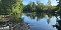 Water in Lusatia: Study calls for higher prices - this is what Leag and BASF | Lausitzer Rundschau