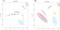 Physiological and developmental disturbances caused by Botryosphaeria dieback in the annual stems of grapevine