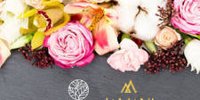 Jamani Group en and bloom bundelen krachten en expertise
