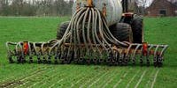 ForFarmers rewards three innovations • De Molenaar