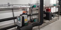 Circulation pump for fish processor • Pomp NL