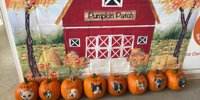 Top Weekend Events: Oct. 26 – Oct. 29