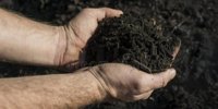 Municipality of Schagen hand out free compost -