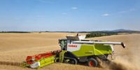 Reesink wants to participate in six large dealer companies