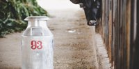 Money flows into the dairy sector - Magyar Mezőgazdaság