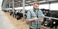 ForFarmers battered towards investor day| IEX Premium