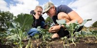 Good insects should eat bad insects |