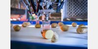 Potato processor Peka Kroef buys Frespo