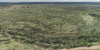 Glencore recognised for Oaky Creek's 'impressive' rehabilitation - Australian Mining