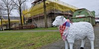 Sjiep looks at renovation of Coevering homes