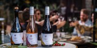 Strategic plan key to Australian Vintage’s earnings growth - The Shout