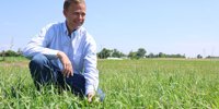 How to kill pasture weeds but keep the white clover How to kill pasture weeds but keep the white clover