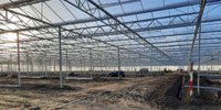 Hoogeveen Plants is building a second nursery