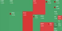 WSE map: CD Projekt, Żabka, Creotech, Pepco and Polimex in the spotlight - Puls Biznesu -