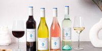 Australian Vintage Limited takes a strategic view of FY23 results