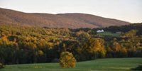 ‘Contained fury’: Shaftsbury residents alarmed over 85-acre solar proposal - VTDigger