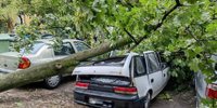 According to insurance companies, the storms caused billions in damage