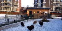 Winter market at the City Farm