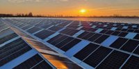 Solar Magazine - Project of the Week | New Hoogeveen Plants greenhouse equipped with solar panels