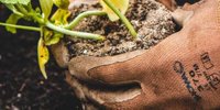 Green gets a 'second life' nationwide through Struikroven Academy
