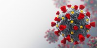 Meeting the challenges of COVID-19