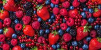 UNBAFRUIT, Palos Fresón, and Cradle of Platero Lead the Top Three Beerries | Blueberries Consulting