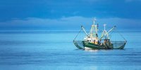 Cornelis Vrolijk snaps up controlling stake in Dutch shrimp processor